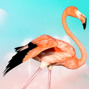 Natasha is a Book Junkie