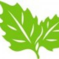 Positive Psychology News