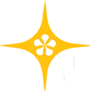 The Dancing Accountant