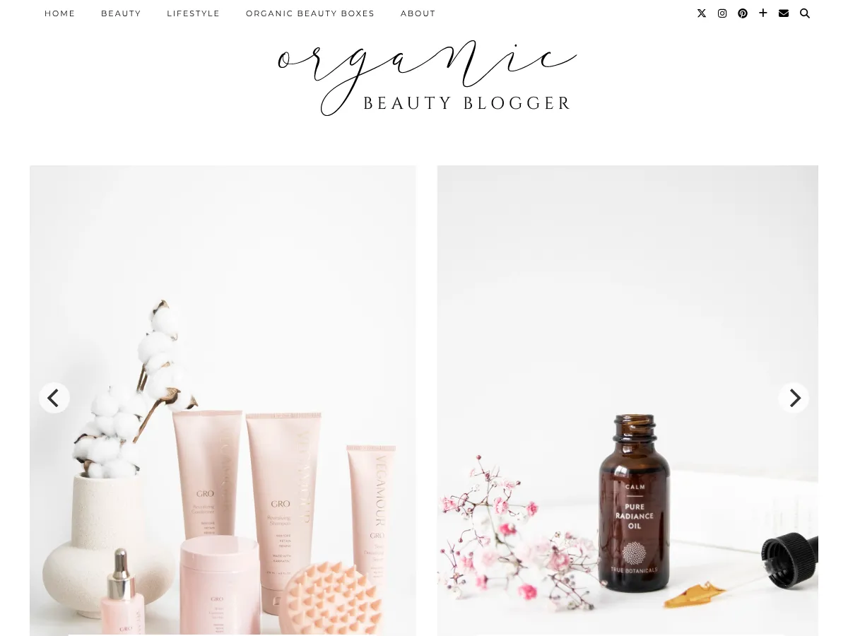 Organic Beauty Blogger Screenshot