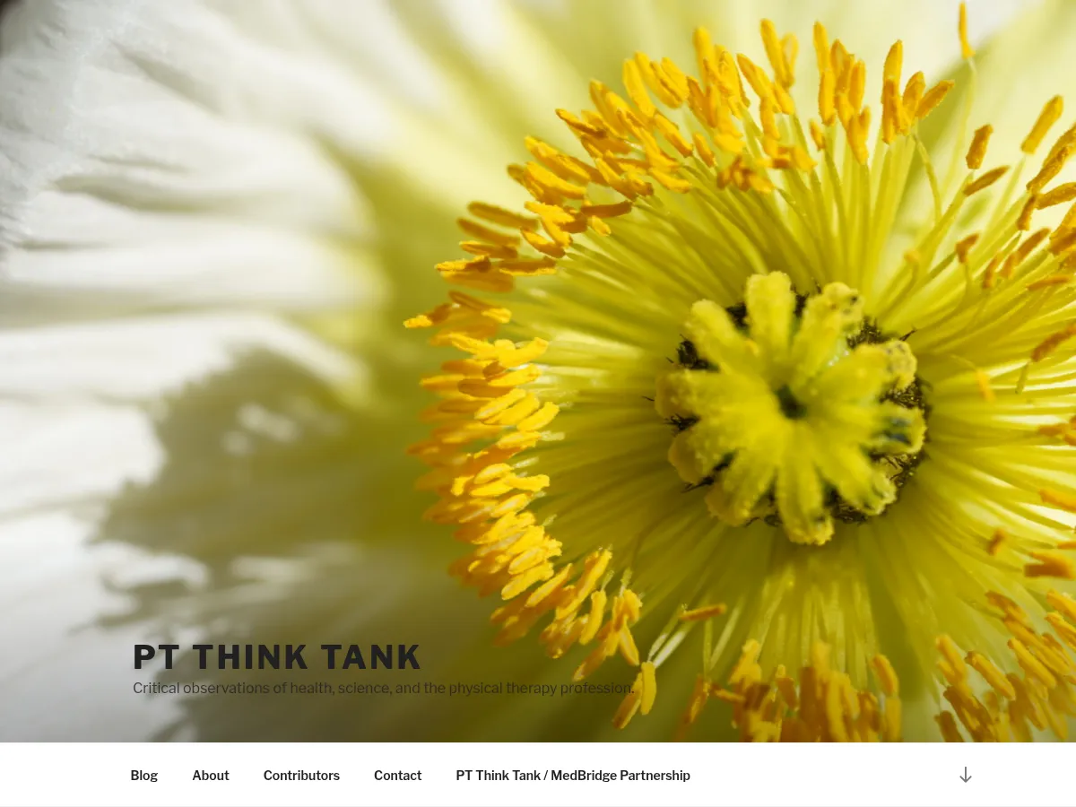 PT Think Tank Screenshot