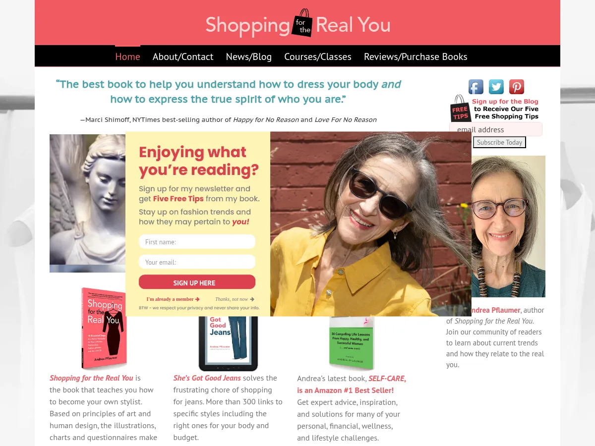 Shopping For The Real You Screenshot