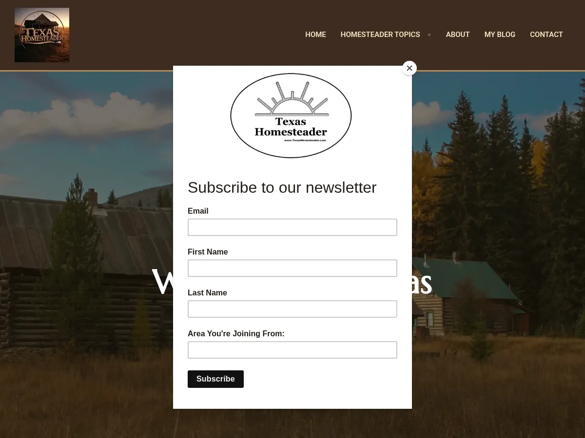 Texas Homesteader Screenshot