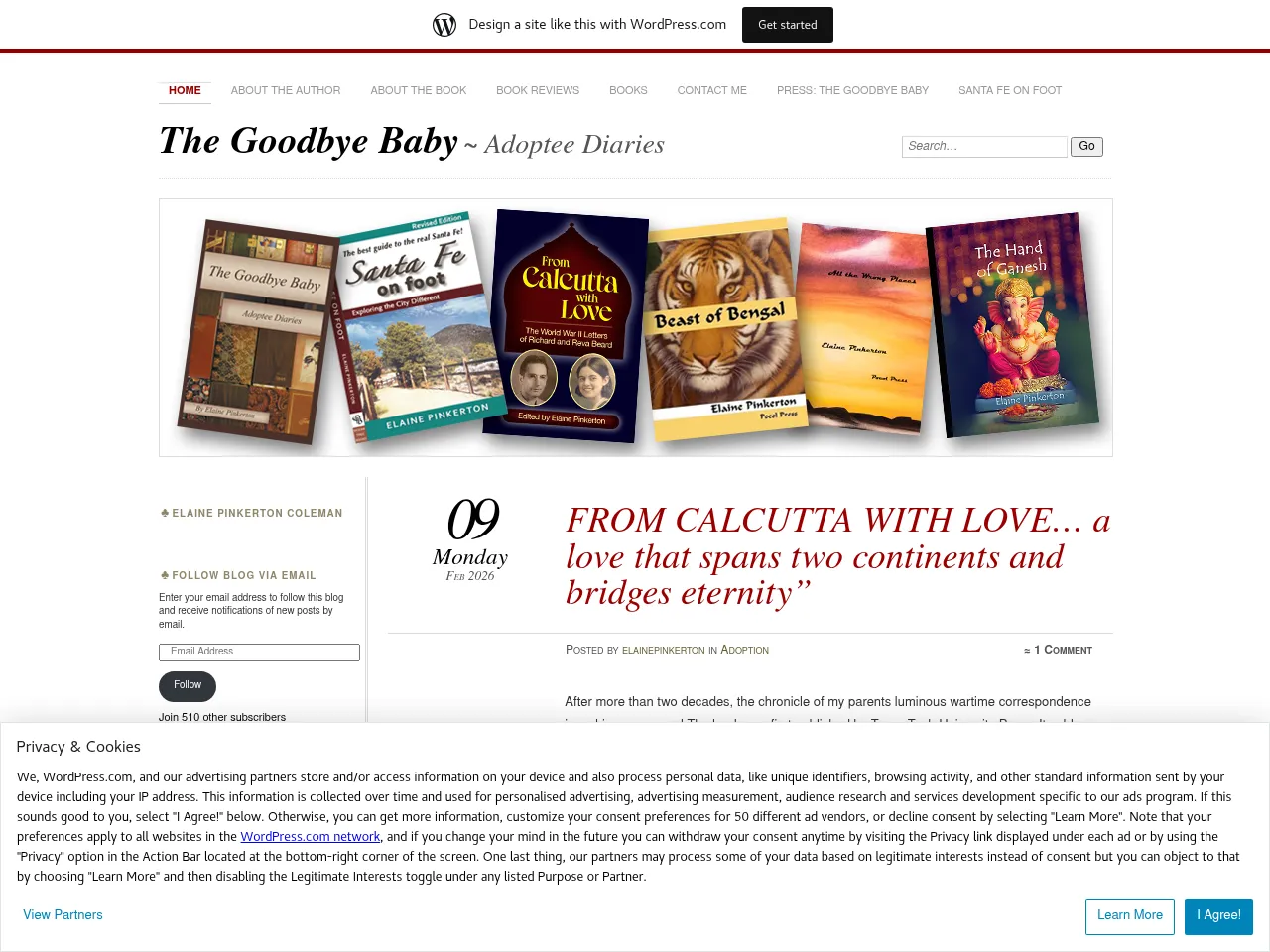 The Goodbye Baby Screenshot