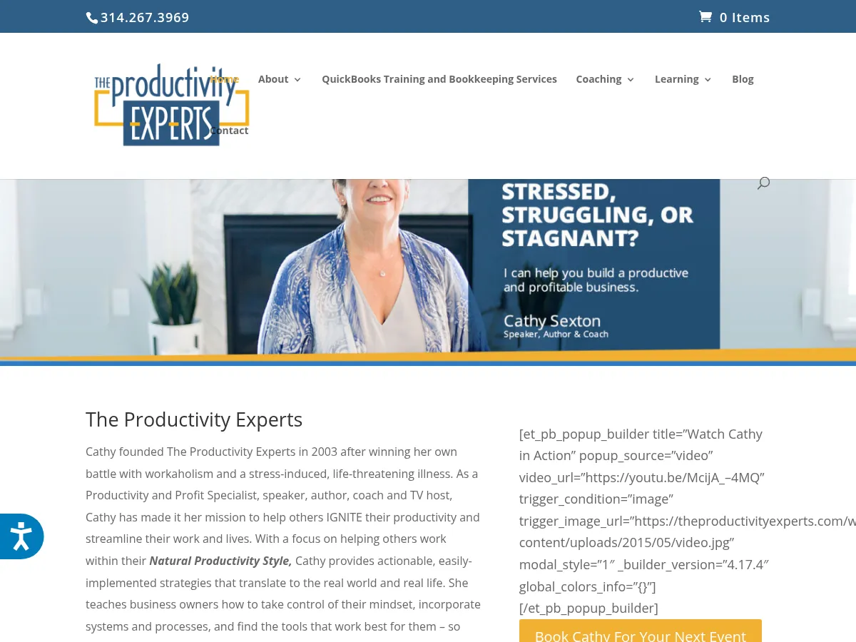 The Productivity Experts Screenshot