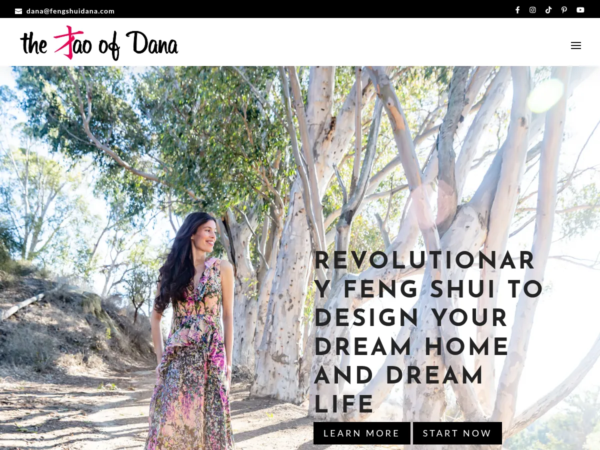 The Tao of Dana Screenshot