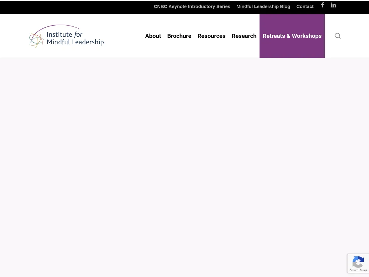 Institute for Mindful Leadership Screenshot